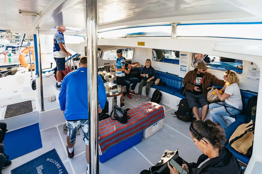 Hervey Bay: Exclusive Whale Watch Encounter - Hearing whales through the hydrophone