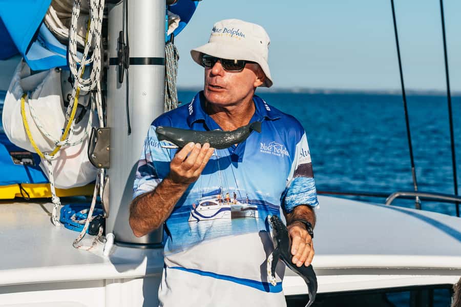 Hervey Bay: Exclusive Whale Watch Encounter - Morning tea, buffet lunch, and afternoon treats