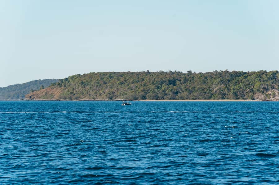 Hervey Bay: Exclusive Whale Watch Encounter - Comfort on board and group size