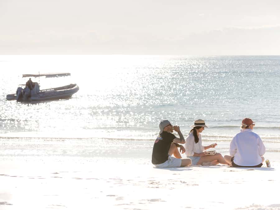 Hervey Bay: Half-Day Whale and Island Adventure by Boat - Is $116 good value?