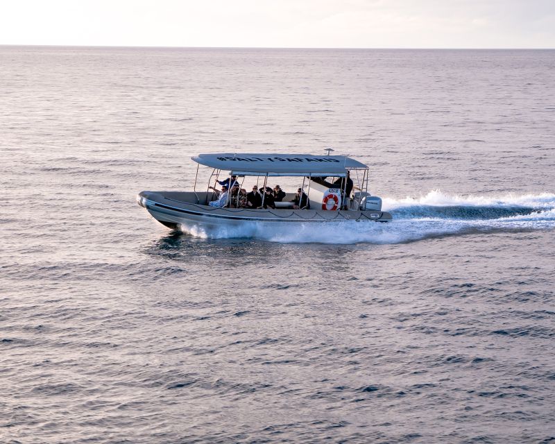 Hervey Bay: Half-Day Whale and Island Adventure by Boat - Practical tips before you go