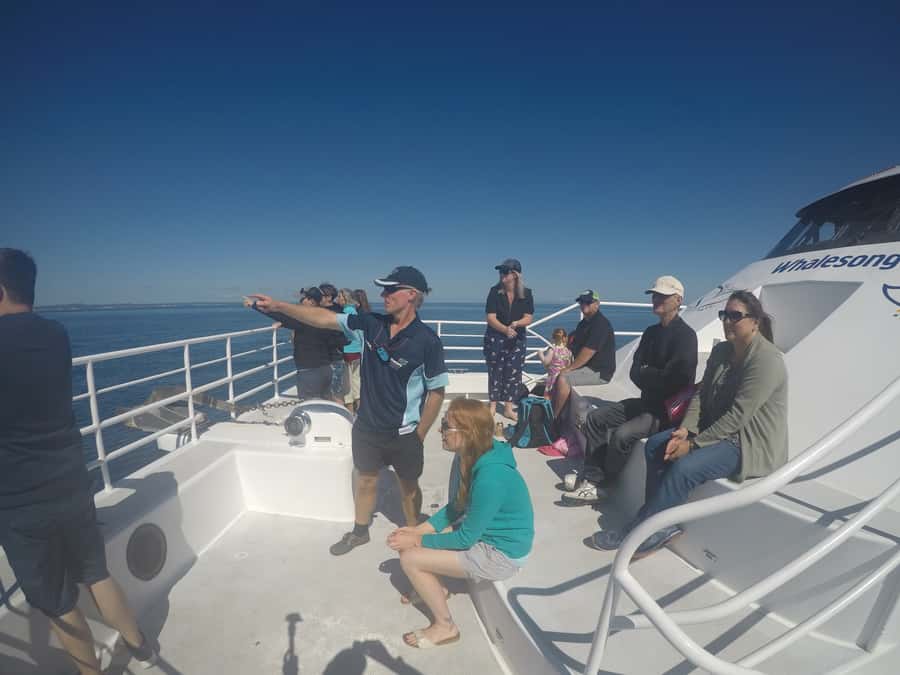 Hervey Bay: Half-Day Whale Watching Cruise with Meal - Booking Flexibility and Practical Details