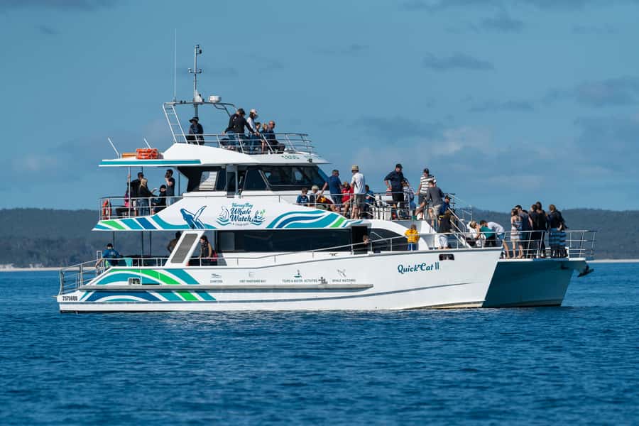 Hervey Bay: Humpback Whale-Watching Half-Day Cruise - Leaving Hervey Bay on Quick Cat II