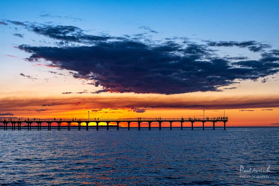Hervey Bay: Relaxing Sunset Cruise with Champagne and Prawns - Prawns, drinks, and a shared grazing platter