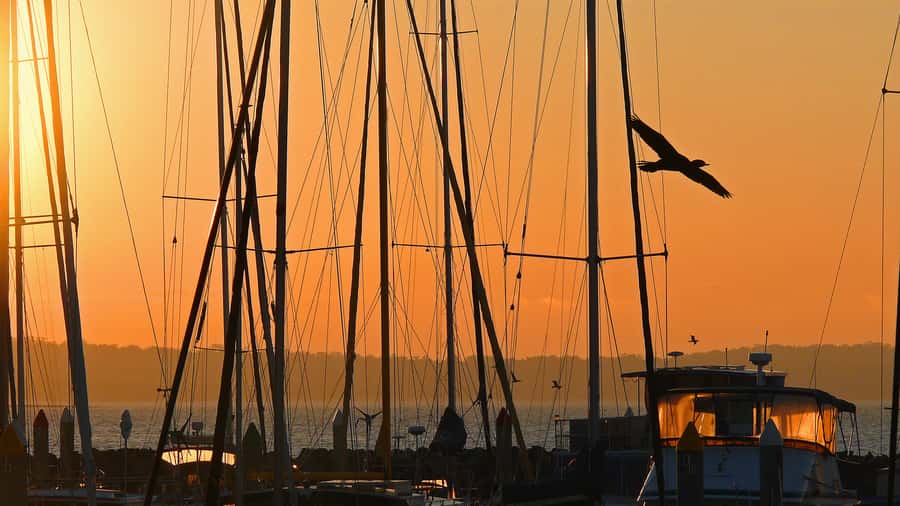 Hervey Bay: Relaxing Sunset Cruise with Champagne and Prawns - Urangan Pier and the changing evening light