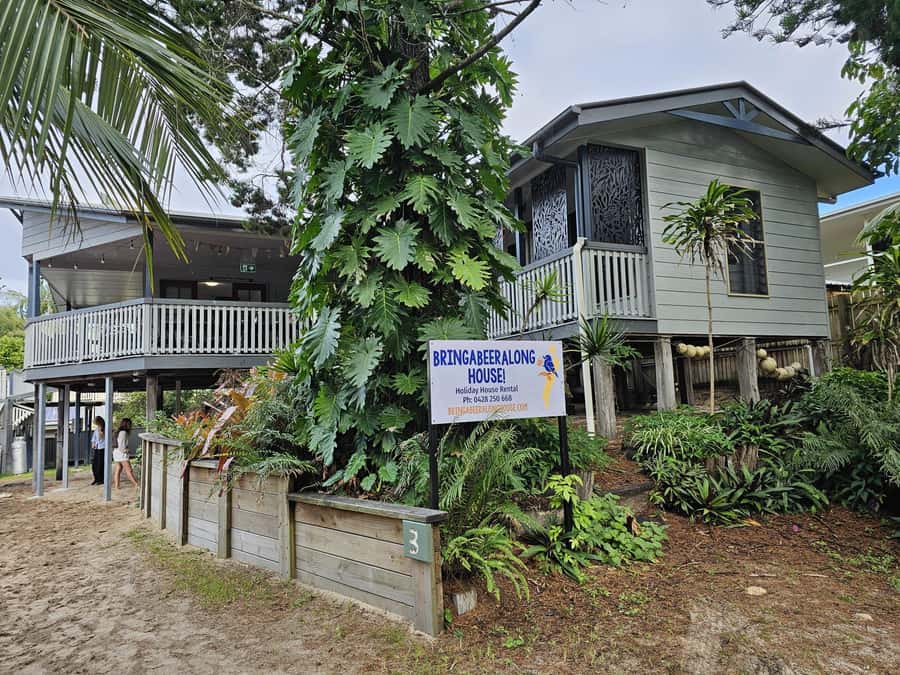 Hervey Bay to K'gari/Fraser Island 3-Day Tour (Beach House) - Rainforest walks at Central Station and Pile Valley