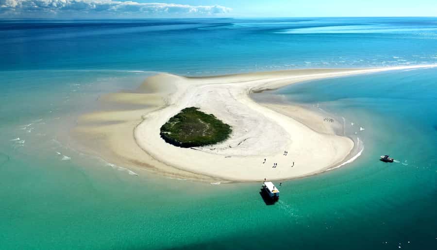 Hervey Bay: Turtle Discovery Eco Tour - What the three-hour outing is really like