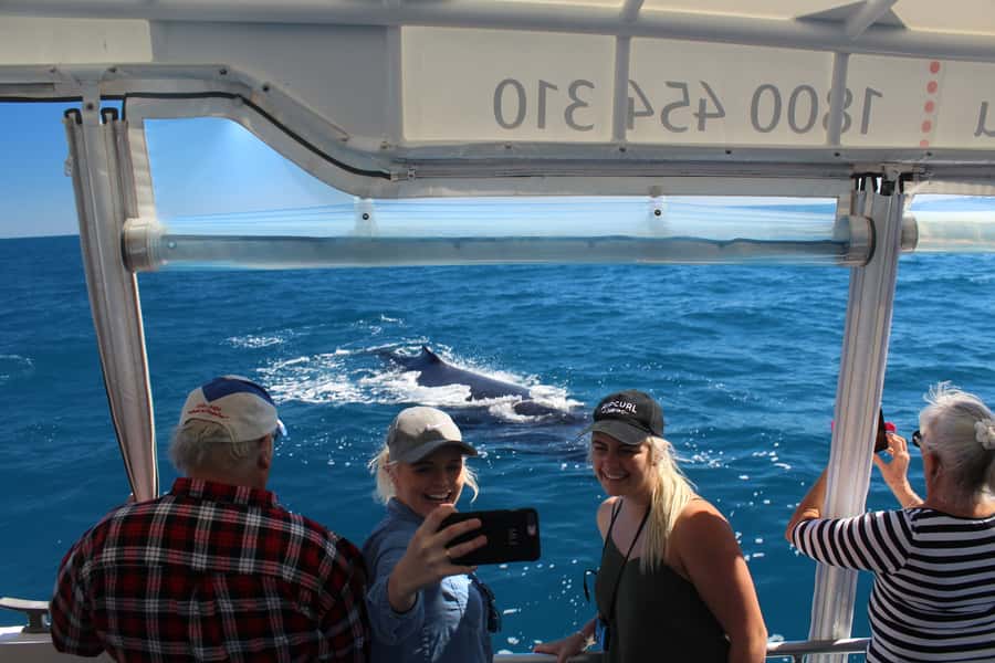 Hervey Bay: Ultimate Whale Watching Experience - Entering Platypus Bay and the Great Sandy Marine Park