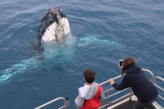 Hervey Bay Whale Watching Cruise - How the route connects Hervey Bay and Kgari