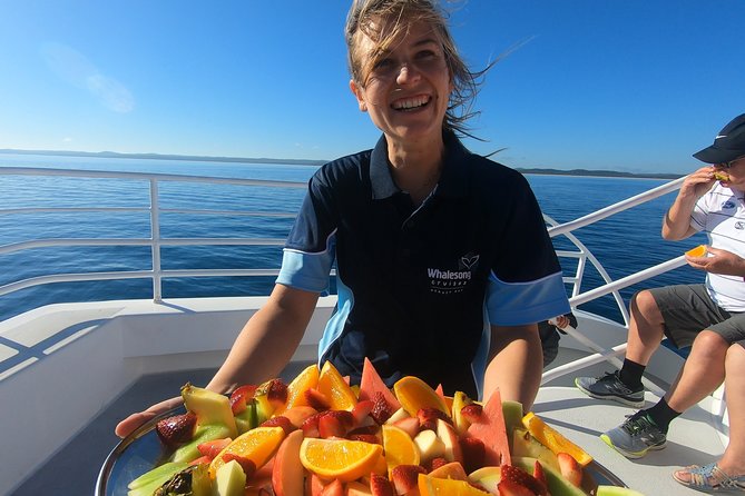 Hervey Bay Whale Watching Experience - The details that matter most