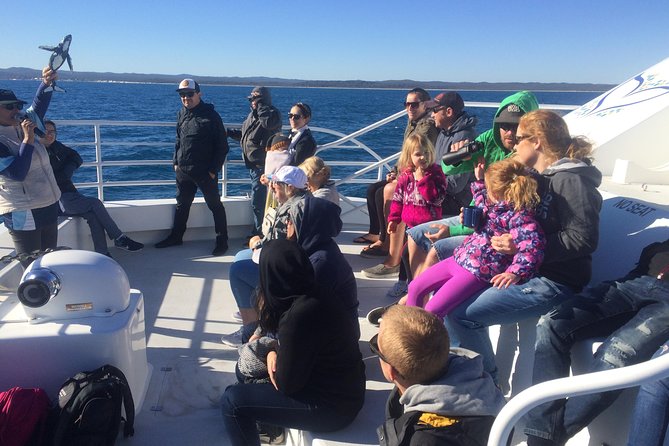 Hervey Bay Whale Watching Experience - How the boat handles rough conditions
