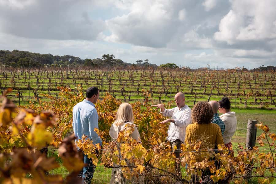 Hidden Gems Margaret River: Authentic Wine & Farm Experience - Five reasons this Margaret River day is different