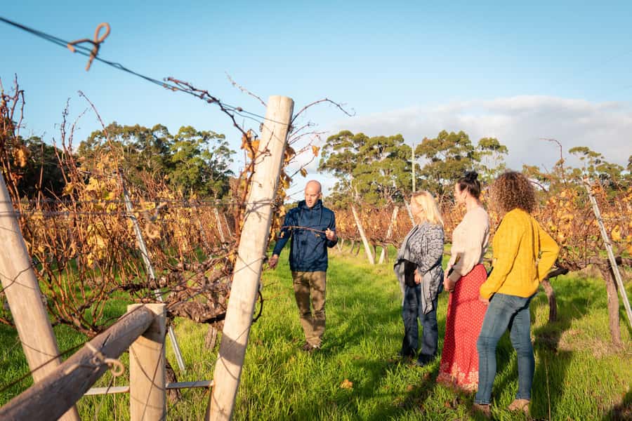 Hidden Gems Margaret River: Authentic Wine & Farm Experience - Three wineries, three different Margaret River styles