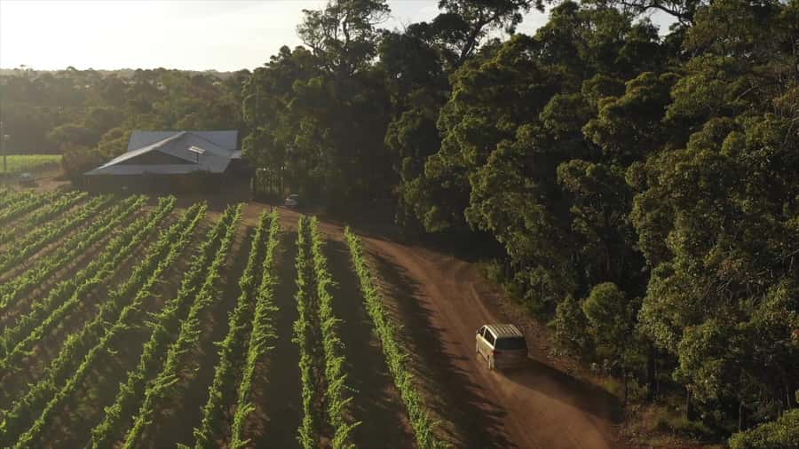 Hidden Gems Margaret River: Authentic Wine & Farm Experience - Lunch at an olive farm