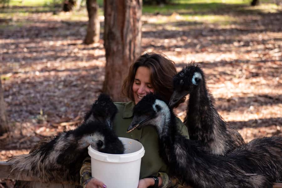 Hidden Gems Margaret River: Authentic Wine & Farm Experience - Why the guide can make or break the day