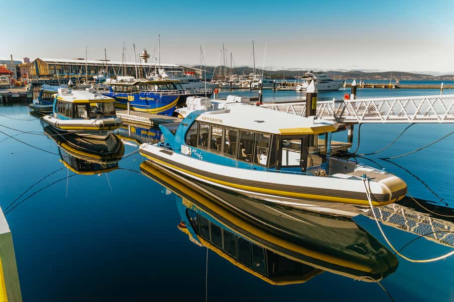 Hobart: 2.5-hour Iron Pot Lighthouse Cruise - Leaving Franklin Wharf and Finding Your Sea Legs