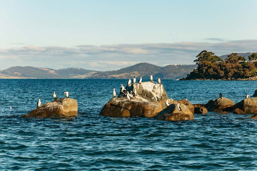 Hobart: 2.5-hour Iron Pot Lighthouse Cruise - Reaching Iron Pot, Hobart’s Historic Sea Marker