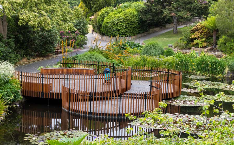 Hobart: 3-Hour City Sightseeing Tour - The Royal Tasmanian Botanical Gardens