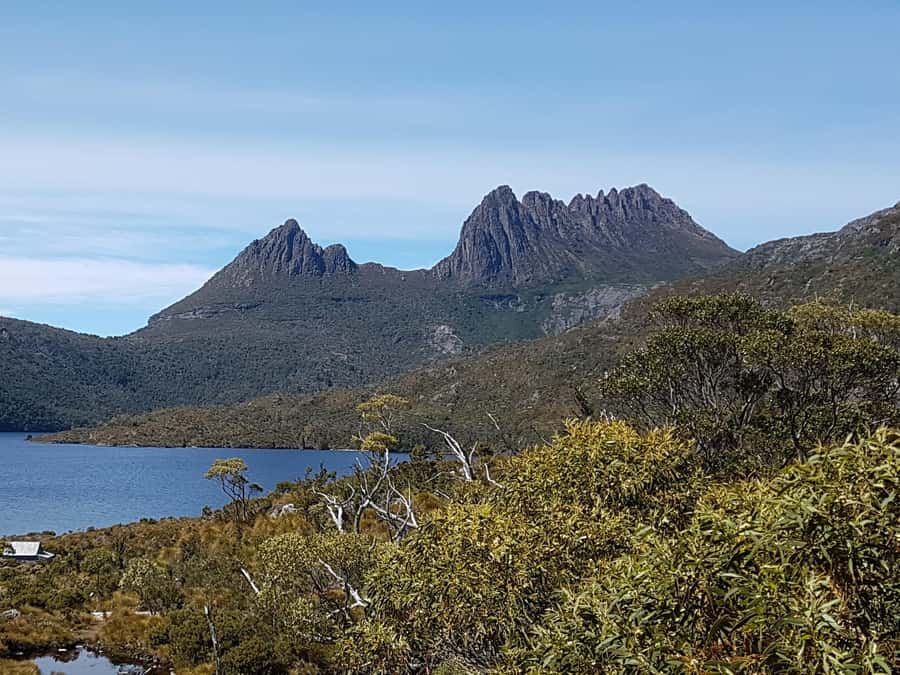Hobart: 4 Day Wild Tasmania Tour - Key points to know before you book