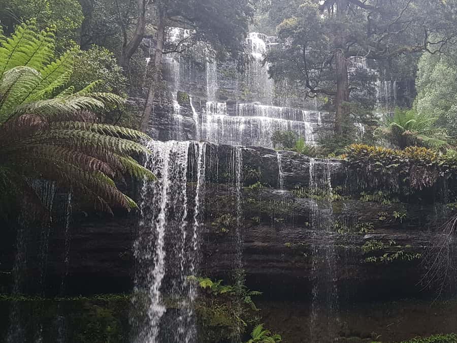 Hobart: 4 Day Wild Tasmania Tour - Russell Falls and the forested high country