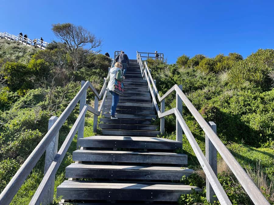 Hobart: Bruny Island Adventure: Hike, Highlights & Tastes - Miles Beach rewards the effort