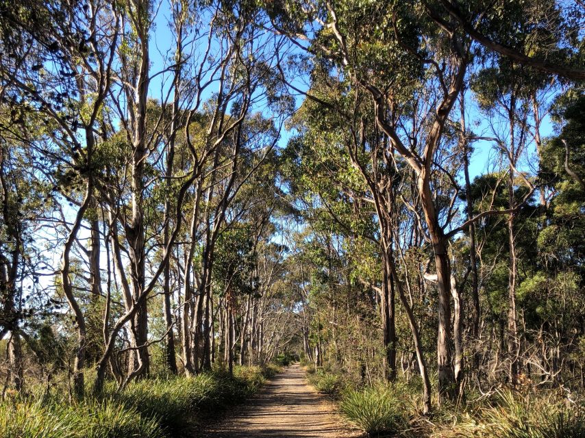 Hobart: Bruny Island Adventure: Hike, Highlights & Tastes - The afternoon tasting trail