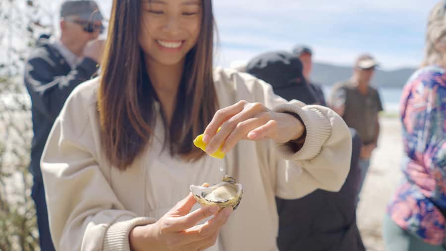 Hobart: Bruny Island Food, Sightseeing & Lighthouse Day Tour - Rainforest roads and South Bruny National Park