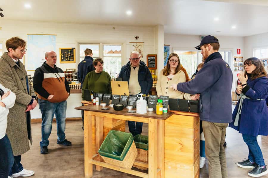 Hobart: Bruny Island Gourmet Sightseeing Day Tour - What guides add to the day