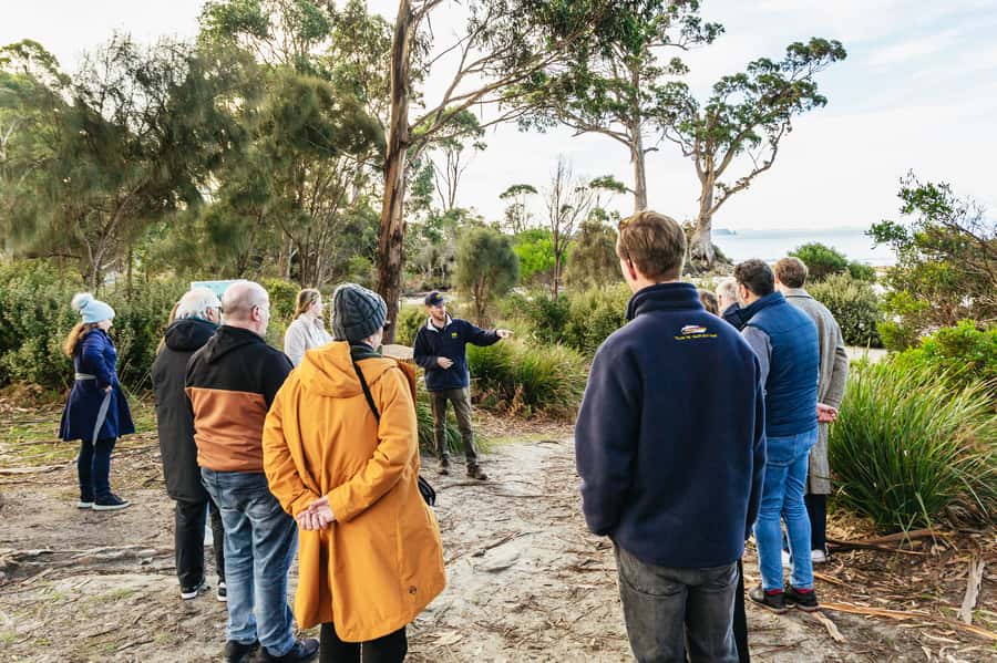 Hobart: Bruny Island Gourmet Sightseeing Day Tour - From Hobart to Bruny Island by ferry