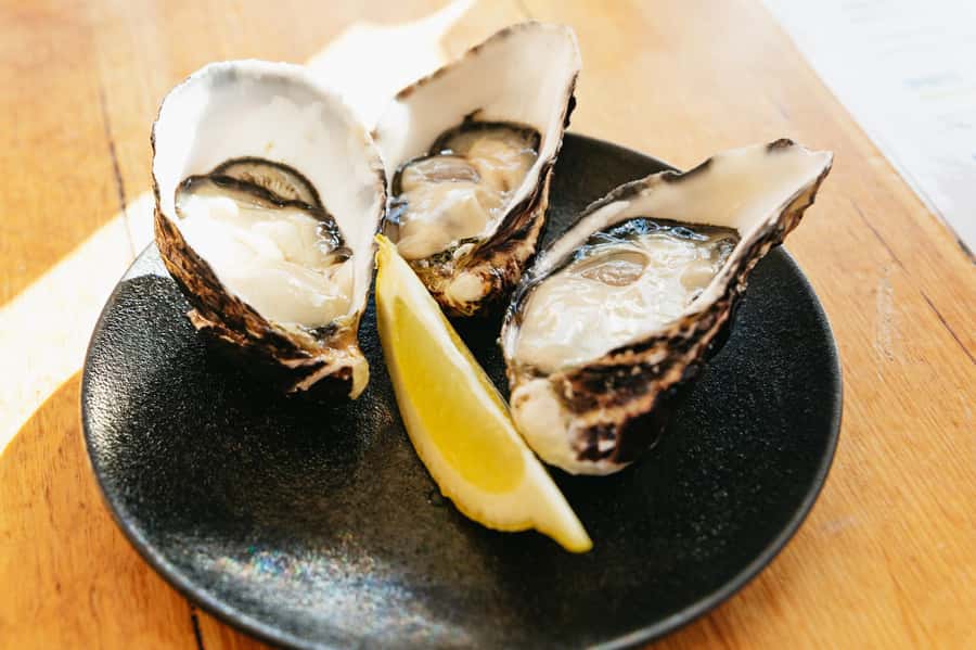 Hobart: Bruny Island Gourmet Sightseeing Day Tour - A beachside lunch at Adventure Bay