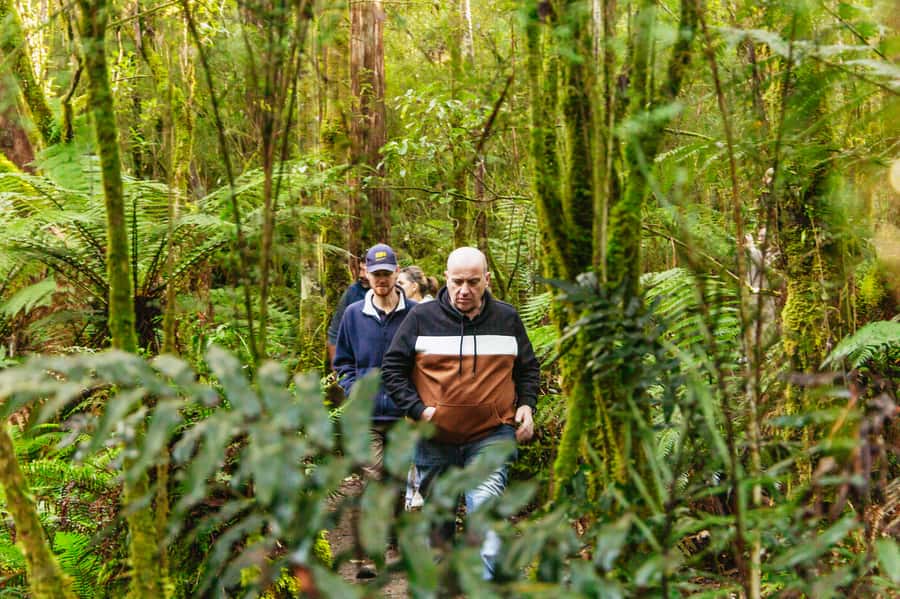 Hobart: Bruny Island Gourmet Sightseeing Day Tour - Cheese and ale to start the appetite