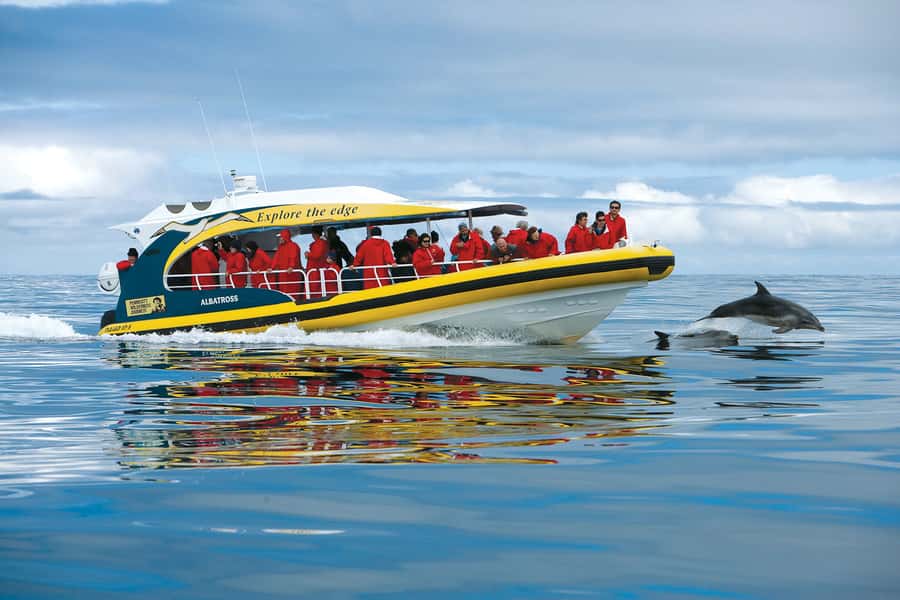 Hobart: Bruny Island Wilderness Coast Eco Cruise with Lunch - Starting at Franklin Wharf in Hobart