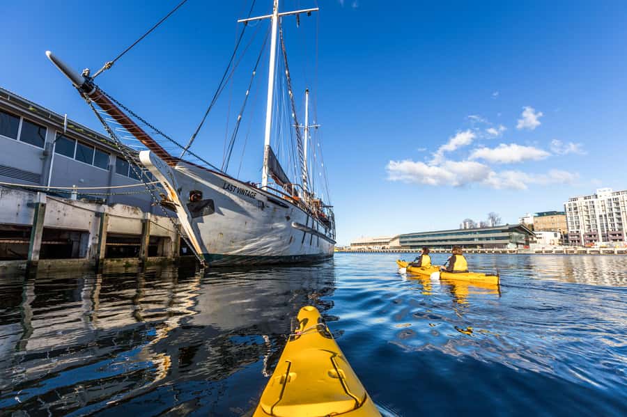 Hobart City 2.5-Hour Kayak Tour - Fish and chips served from a double kayak