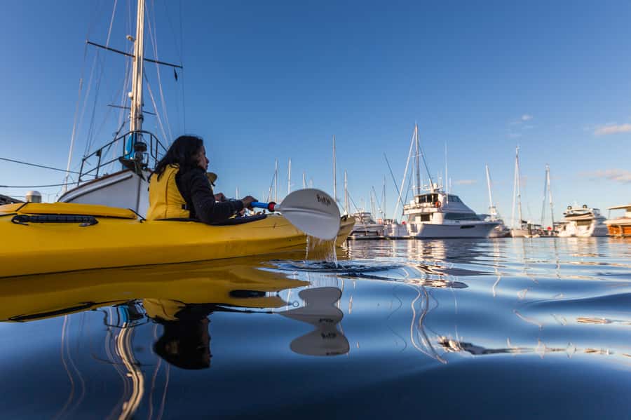 Hobart City 2.5-Hour Kayak Tour - What $84 buys you