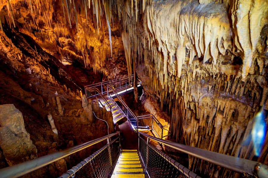 Hobart: Hastings Cave, Tahune Airwalk and Huon Tasting Trail - Key points at a glance