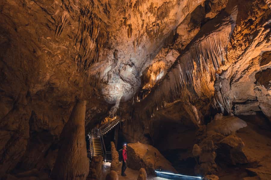 Hobart: Hastings Cave, Tahune Airwalk and Huon Tasting Trail - Hastings Cave and the underground formations
