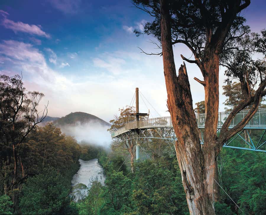 Hobart: Hastings Cave, Tahune Airwalk and Huon Tasting Trail - Huonville and the apple country drive
