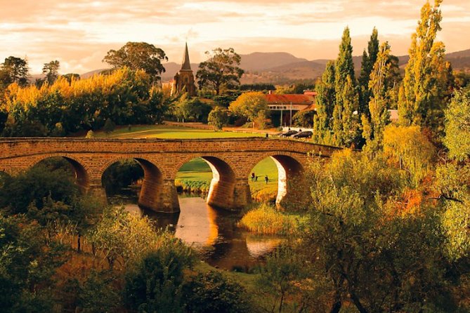 Hobart Highlights Day Tour - Free cheese tasting at Wicked Cheese