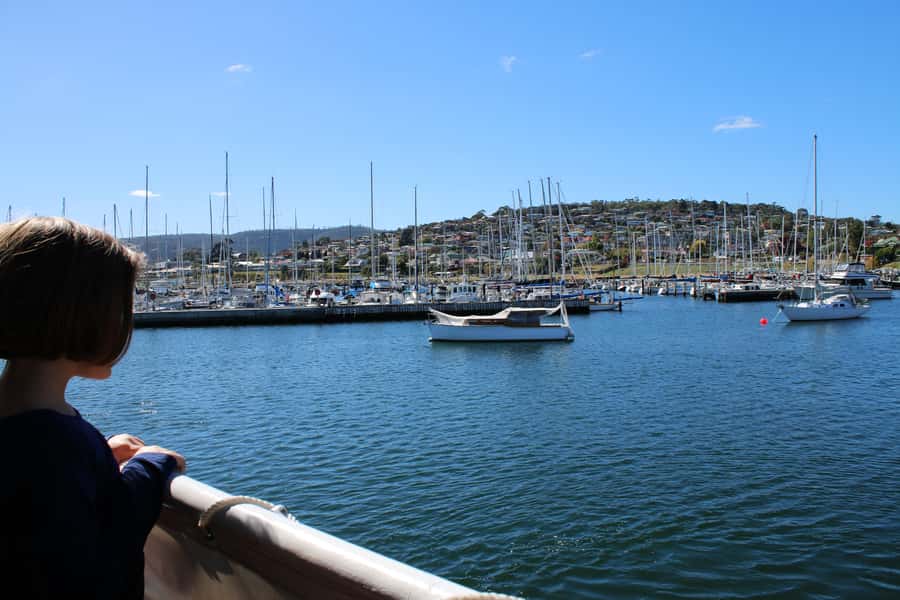 Hobart: Historic Lunch Cruise - Passing beneath the Tasman Bridge
