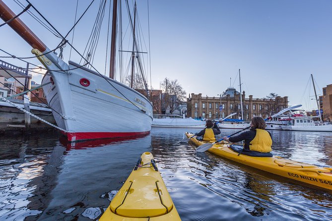 Hobart Kayak Tour - Why Kayak Hobart Instead of Just Walking the Waterfront?
