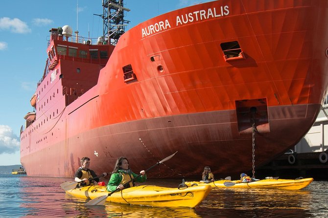 Hobart Kayak Tour - What the Guides Add to the Experience