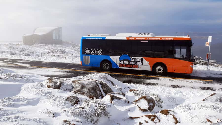 Hobart: kunanyi/Mt Wellington Explorer Bus Pass - Who will enjoy this pass most?