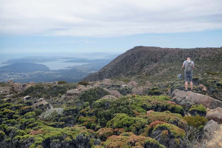 Hobart: kunanyi/Mt Wellington Explorer Bus Pass - Starting beside Hobart’s waterfront