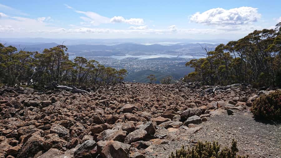 Hobart: kunanyi/Mt Wellington Explorer Bus Pass - Returning through Wellington Park