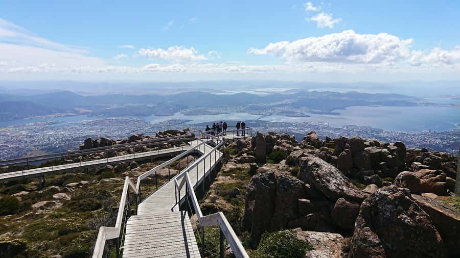 Hobart: kunanyi/Mt Wellington Explorer Bus Pass - The climb through Fern Tree
