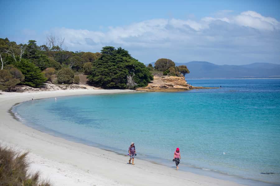 Hobart: Maria Island National Park Active Full-Day Tour - The bus and ferry connection