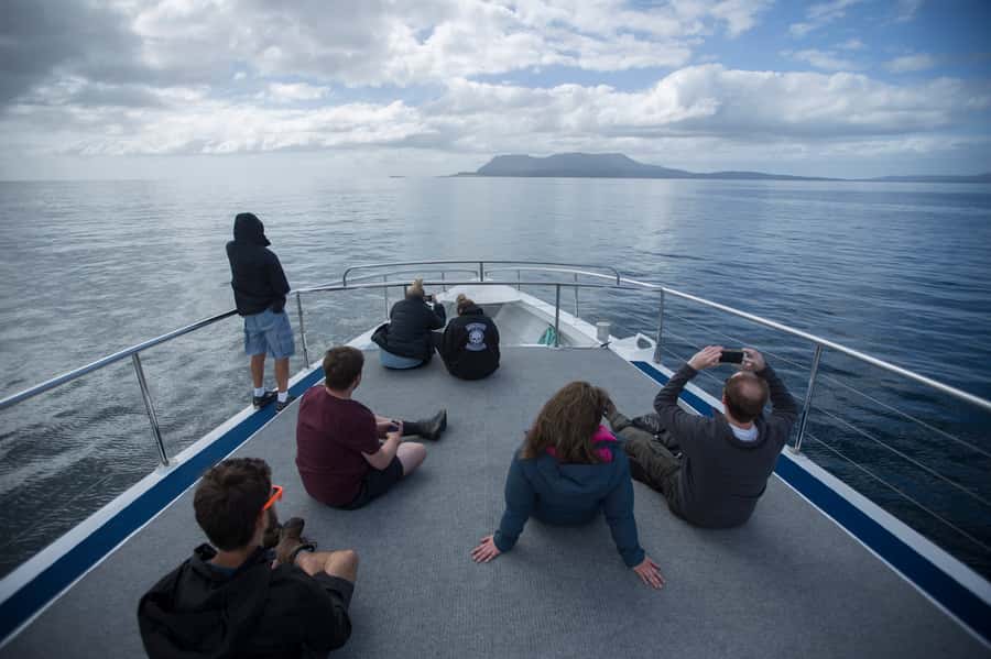 Hobart: Maria Island National Park Active Full-Day Tour - Painted Cliffs are the visual highlight