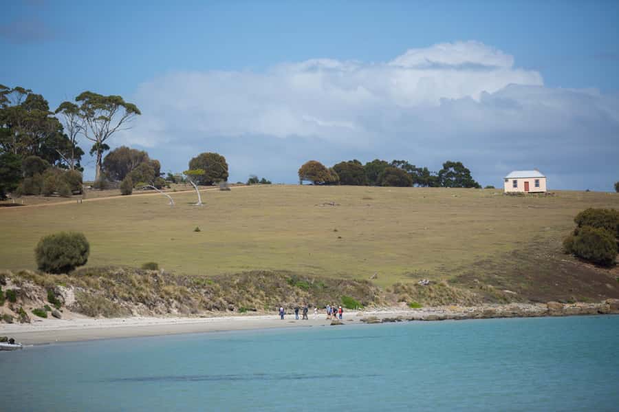 Hobart: Maria Island National Park Active Full-Day Tour - Wildlife is the biggest reason to go