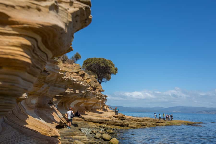 Hobart: Maria Island National Park Active Full-Day Tour - The early Hobart start is part of the deal