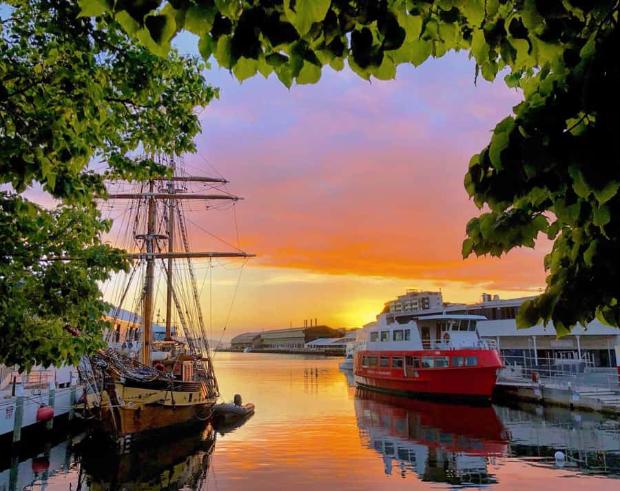 Hobart: Morning River Cruise - Upstream past the Botanical Gardens and Government House